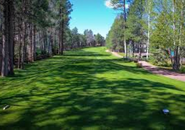 Pinetop Lakes Golf and Country Club Tee Time Search